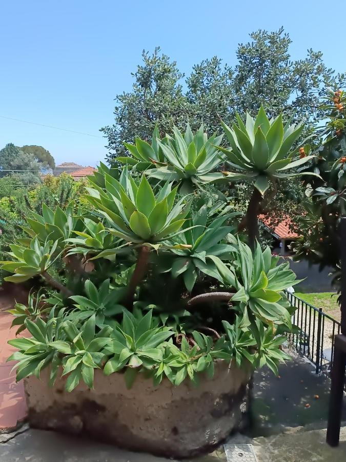 B&B Villa Lidia Acireale Esterno foto
