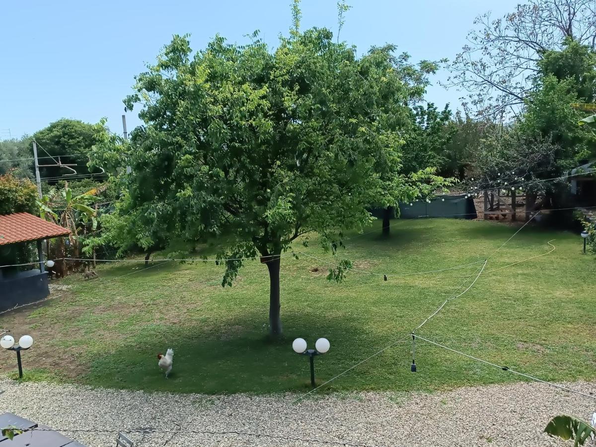 B&B Villa Lidia Acireale Esterno foto