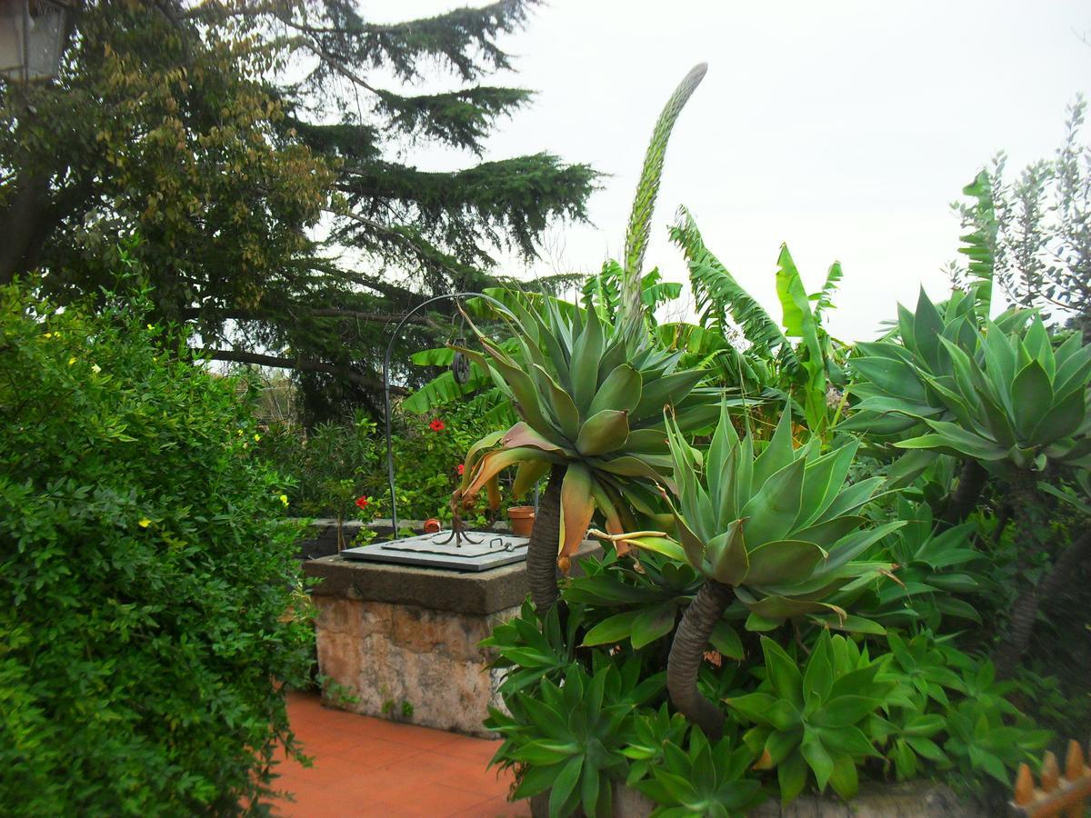B&B Villa Lidia Acireale Esterno foto